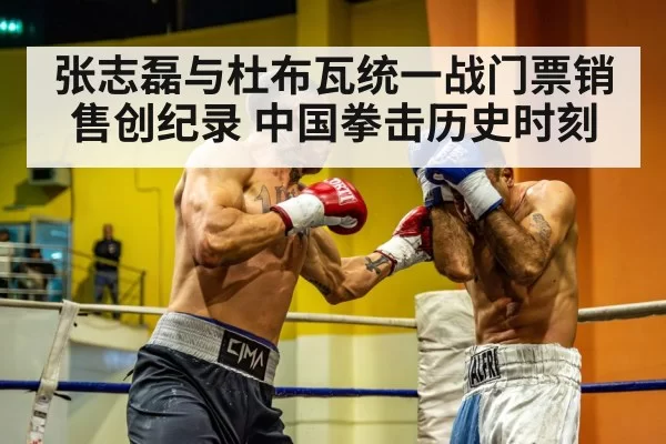 Chinese heavyweight boxer